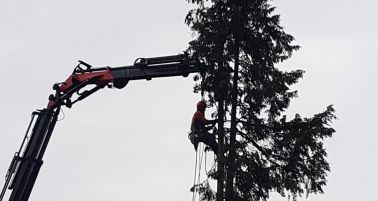 Spezielle Holzerei2.jpg