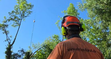 04_Spezielle Holzerei.jpg